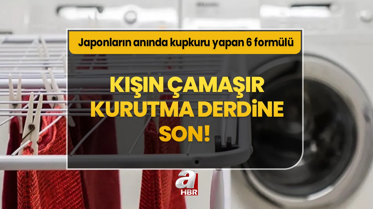 Kışın çamaşır kurutma derdine son! Japonların anında kupkuru yapan 6 formülü