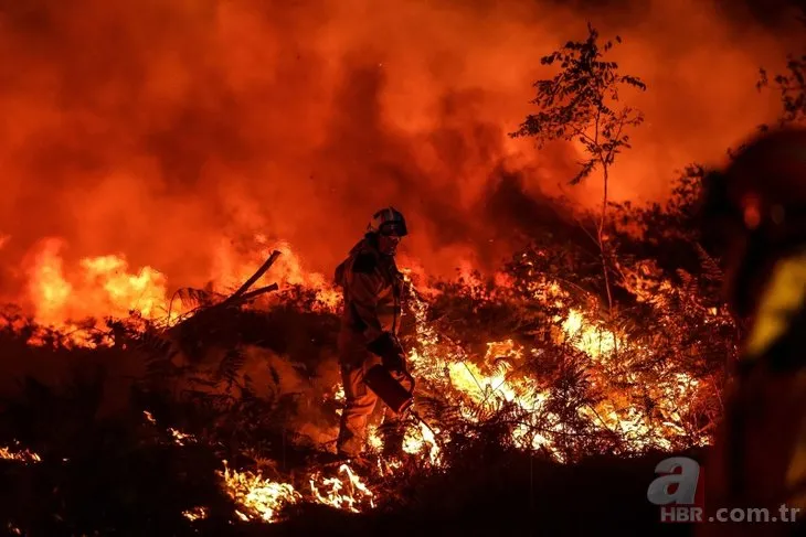 İspanya ve Fransa’da korkutan orman yangınları! 800 hayvan yaşıyordu