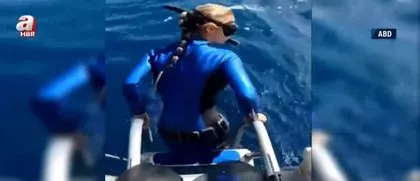 Denize girerken dehşeti yaşadı! Kaplan köpek balığı ile burun buruna gelip...