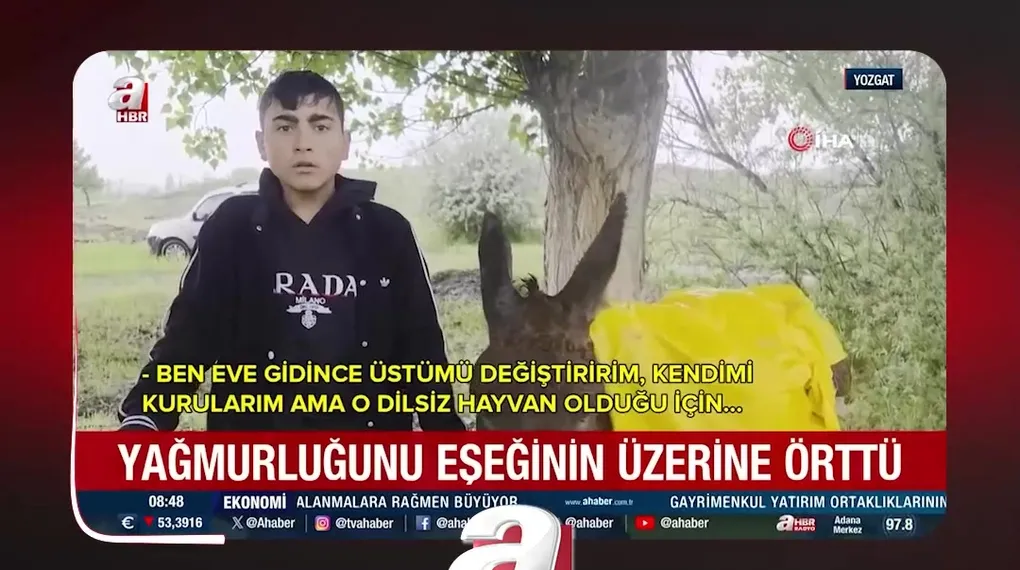 HELAL OLSUN SANA ALPEREN!