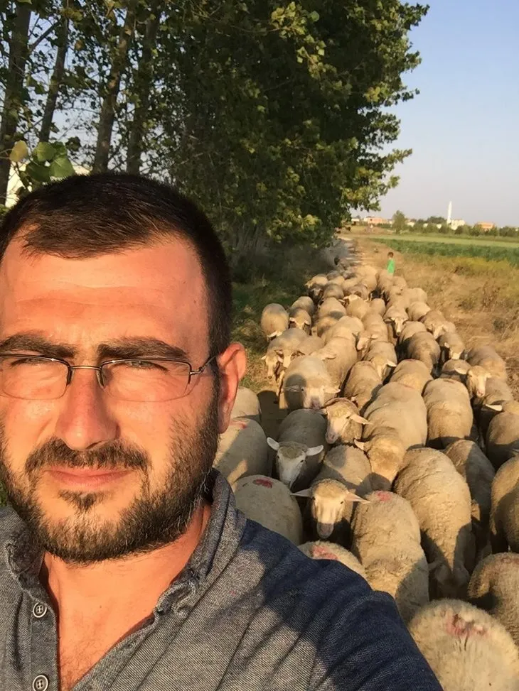 Bursa’da çoban, çalınan 10 bin liralık kangalını bulana kuzu verecek