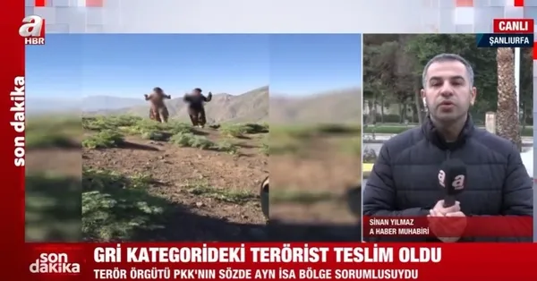 PKK’nın sözde Ayn İsa bölge sorumlusu teslim oldu