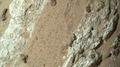 Mars’ta yaşam var mı?