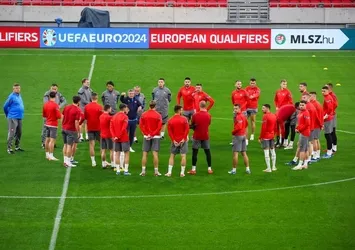 Sırbistan EURO 2024'e kilitlendi! Hedef gruptan çıkmak