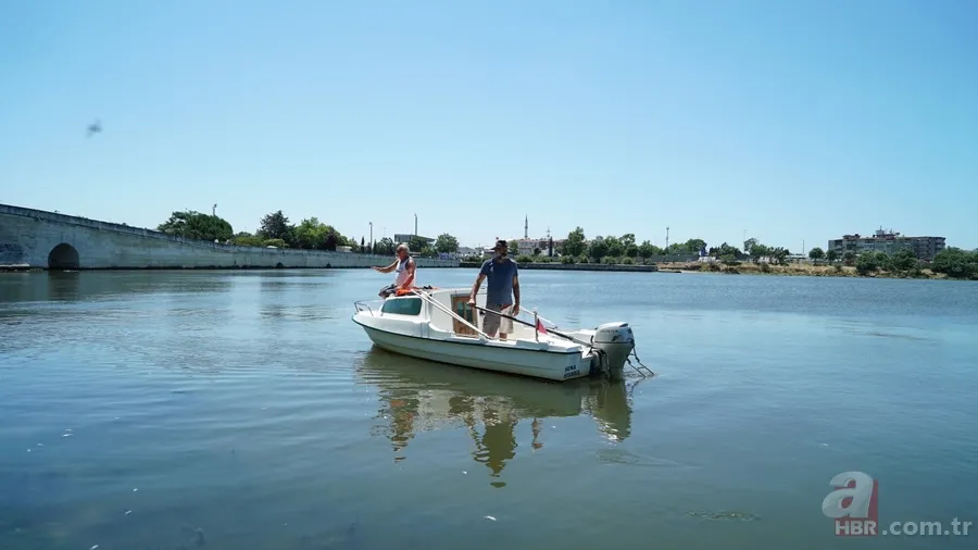 İstanbul'da büyük skandal ve acı veren görüntüler! Küçükçekmece'deki balık ölümlerinin nedeni ne? 7