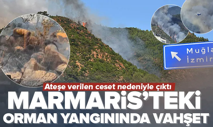 Marmariste orman yangınında vahşet!