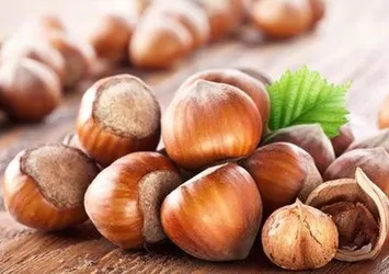 Fındık fiyatı 13 liraya çıktı