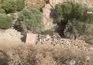 Hakkari’de kamyon uçuruma yuvarlandı