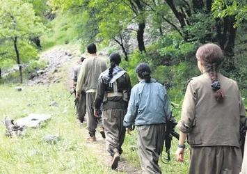 Kan kardeşler