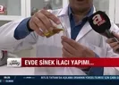 Sivrisinek sorununa bitkisel çözüm