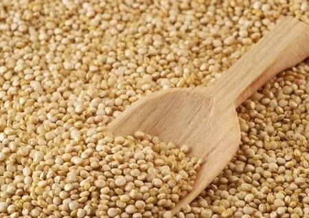 Uzman araştırmacılar belirledi: En sağlıklı 50 besin!