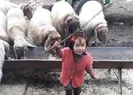 Müslümenin ölümünün ardından annesi konuştu!