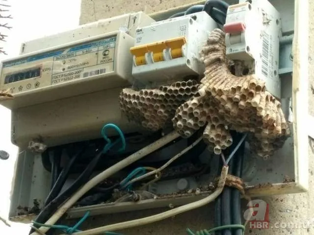 Ankara'da şaşkına çeviren kaza! Seyir halindeyken... 17