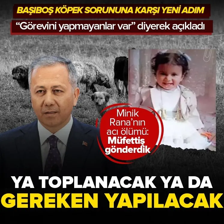 Başıboş köpek sorunuyla ilgili flaş mesaj