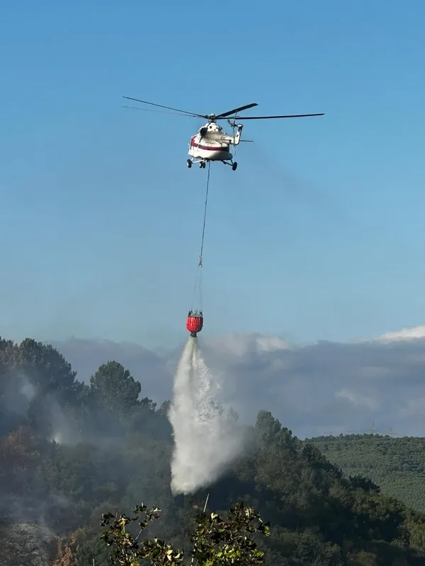 İstanbul Sultangazi’deki orman yangını kontrol altına alındı: Yaklaşık 10 dönüm alan kül oldu