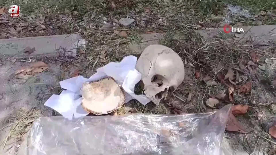 Çöpte bulunan kafatasının sırrı çözüldü