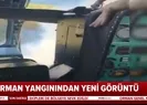 Son dakika: Heybeliadadaki orman yangınına ait yeni görüntüler ortaya çıktı