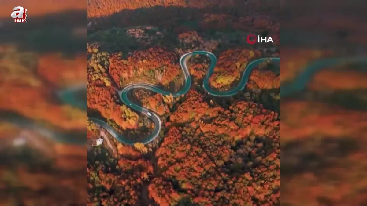 Sonbaharla ormanlara gelen renk cümbüşü