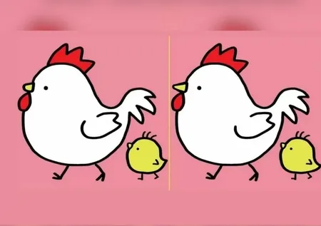 Zeka Testi: Tavuk ve civciv resimleri arasındaki farkı 15 saniyede sadece şahin gözlüler buluyor!