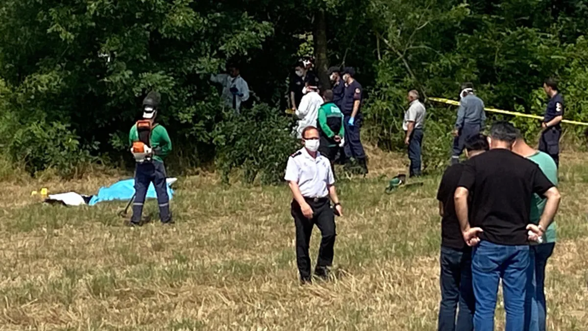 Sakarya'da tarlada insan kemikleri bulundu! Kimliği ortaya çıktı...
