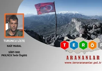 Son dakika: Siirt'te PKK'ya darbe