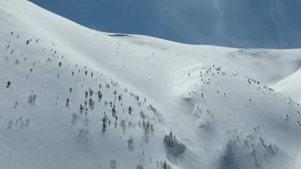 Artvin'de çığ faciası: Kayıp kişi için çalışmalar 86 gündür sürüyor