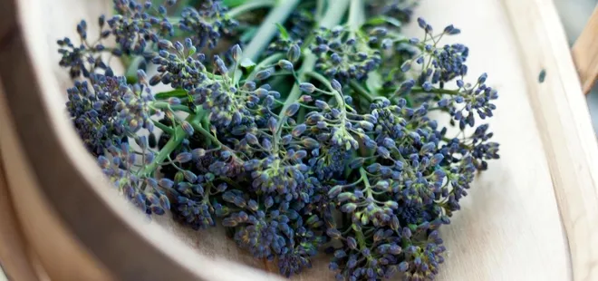 ‘Şifalı bitki’ kandırmacasına 8.7 milyon lira ceza