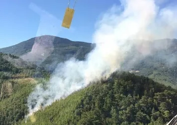 Alanya'da orman yangını