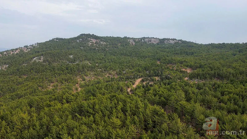 Türkiye'yi yasa boğan Müslüme Yağal son yolculuğuna uğurlandı! Gözyaşları sel oldu 10