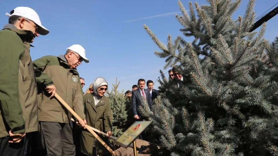 Başkan Erdoğan Ankara'da fidan dikme etkinliğine katıldı
