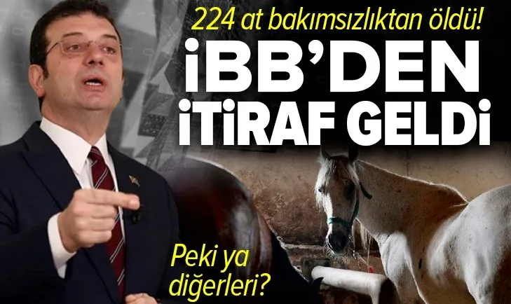 Son dakika: 978 at kayıptı! İBB’den kalpleri acıtan ilk itiraf geldi: 224'ü bakımsızlıktan öldü