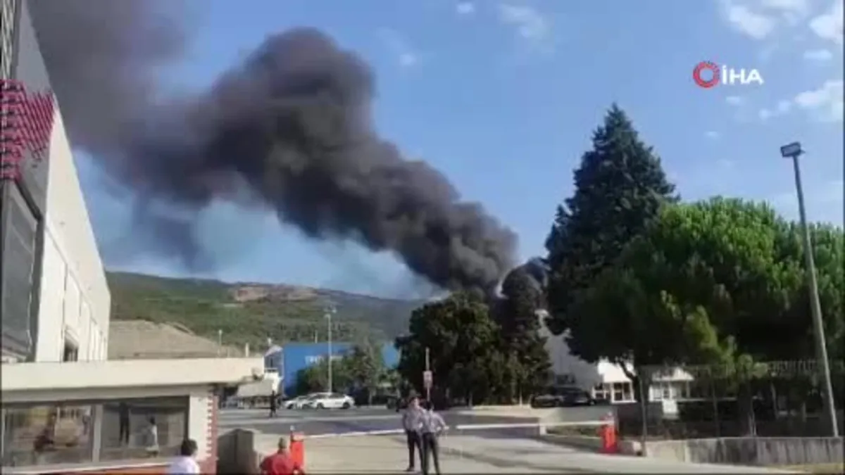 Yat fabrikasında yangın