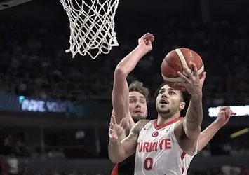 Shane Larkin milli takım kariyerini noktaladı: Benim için onurdu