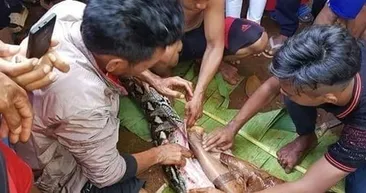 Dev piton 2 çocuk annesi kadını yuttu