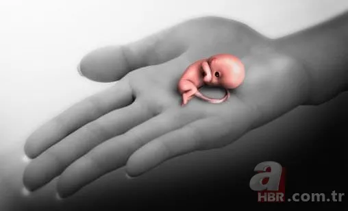 Peygamber Efendimiz’e (s.a.v) mi’raç hadisesinde gösterilen 10 insan grubu 10