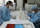 Faz-1 çalışmaları tamamlandı