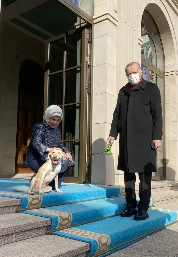 Başkan Erdoğan'ı her sabah mesaiye uğurluyor! Yürekleri ısıtan kare - 4
