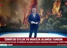 Ünlüleri tatil merkezinde korkutan yangın
