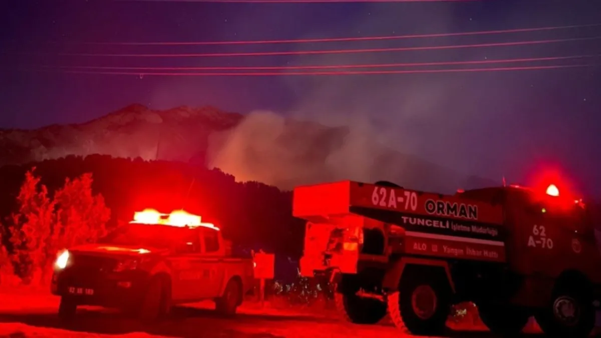 Tunceli'de otluk alanda yangın! Alevler kontrol altına alındı