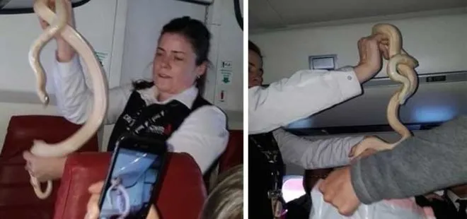 HOSTES, KABİNDE ÖYLE BİR ŞEY YAKALADI Kİ...