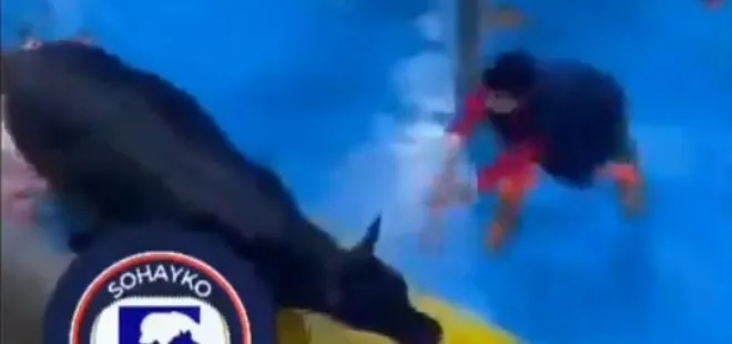 Amasya Kral Et Entegre Merkezi’nde hayvanlara işkence! ahaber.com.tr gündeme getirdi Bakanlık devreye girdi! 5 şüpheli tutuklandı