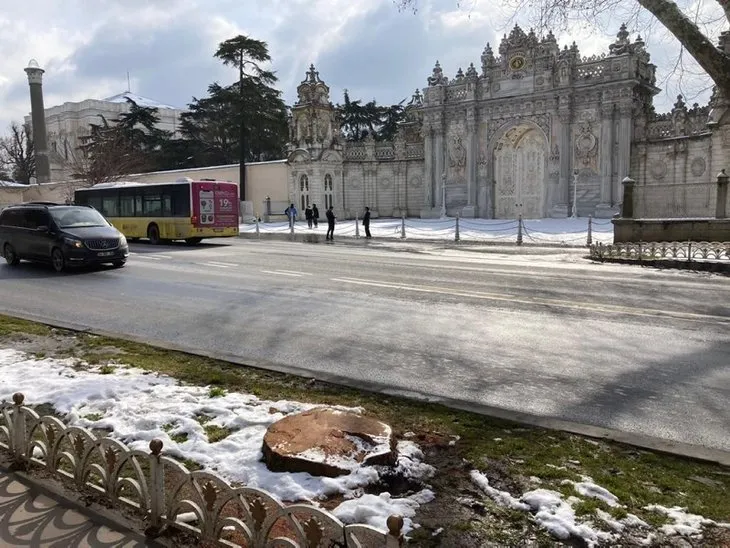 Çırağan'daki ağaç katliamının arkasında ne var? İBB İstanbul'un tarihi simgesine hançer sapladı