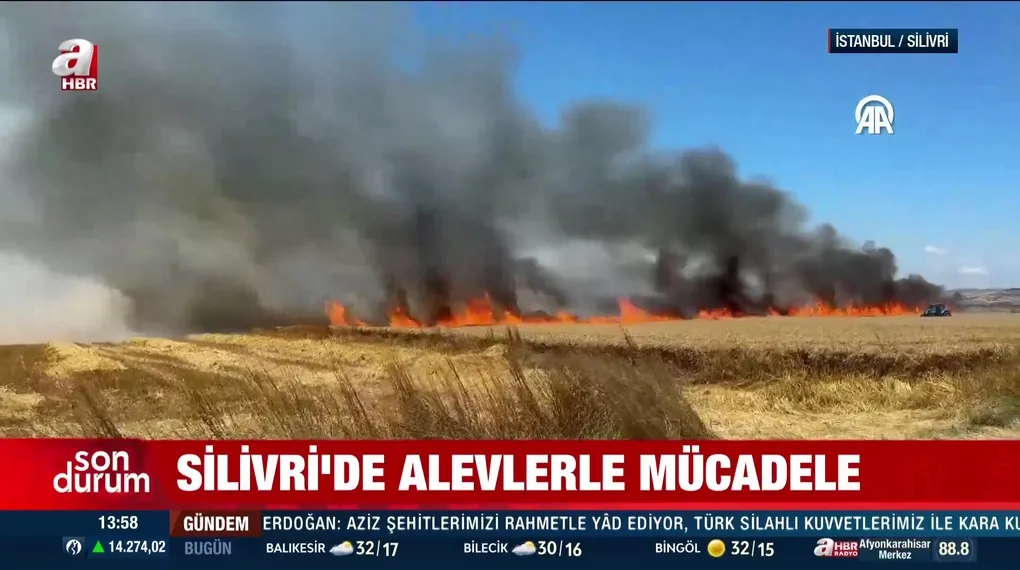 Silivri'de korkutan tarla yangını