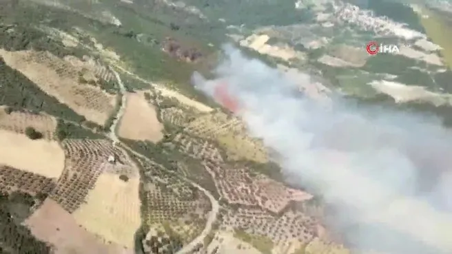 İzmir’de yangın sonucu bir mahalle boşaltıldı!