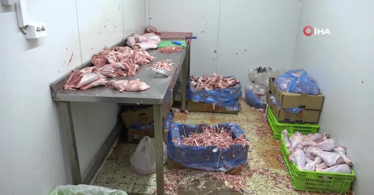 Döner baskınında mide bulandıran manzara