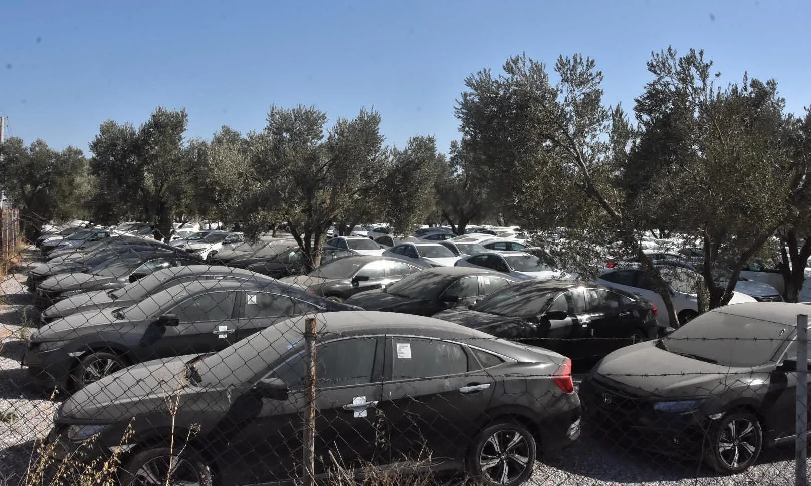 Son dakika | Otomobil stokçularına operasyon! 51 kişi gözaltında