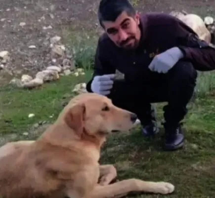 21-yasindaki-gencin-feci-olumu-karsidan-karsiya-gecmek-isterken-tirin-altinda-can-verdi-1648925757472.jpg 21 yaşındaki gencin feci ölümü! Karşıdan karşıya geçmek isterken TIR’ın altında can verdi - 1