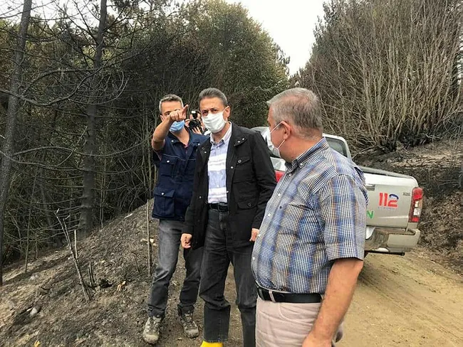 Çorum ile Sinop arasındaki orman yangını büyük ölçüde kontrol altına alındı - 3