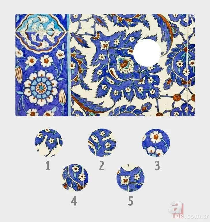 Bu zeka testine katılanların yüzde 17’si tüm soruları doğru cevapladı! Sosyal medyayı sallayan test 17