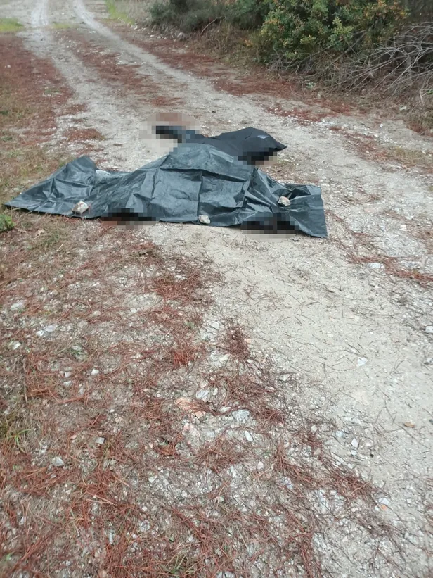 Bursa’da uçak kazasının sebebi ne? Bursa’da uçak nereye düştü? Ölü ve yaralı var mı? Tek motorlu uçak nedir, özellikleri neler?